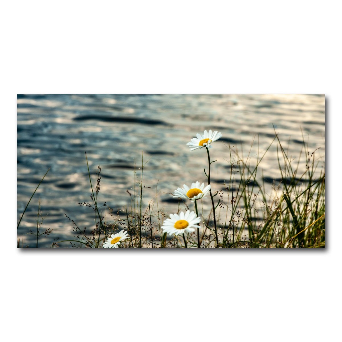 AUTO-MOCKUP WHITE | Lake Flowers | 1 Piece | Gallery Wrap Canvas | group=2x1