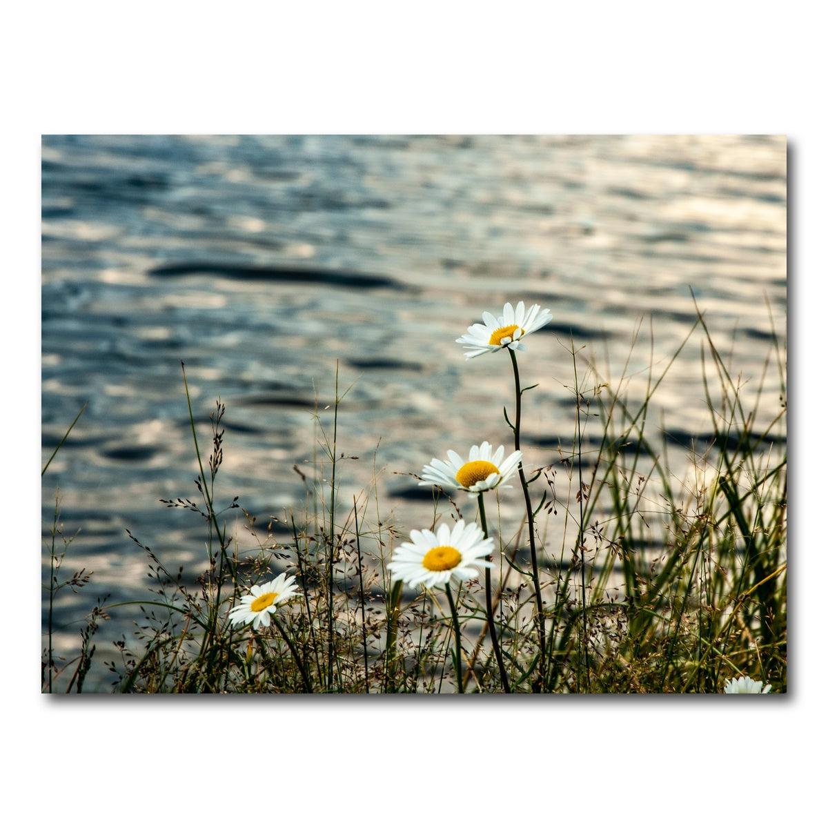 AUTO-MOCKUP WHITE | Lake Flowers | 1 Piece | Gallery Wrap Canvas | group=4x3