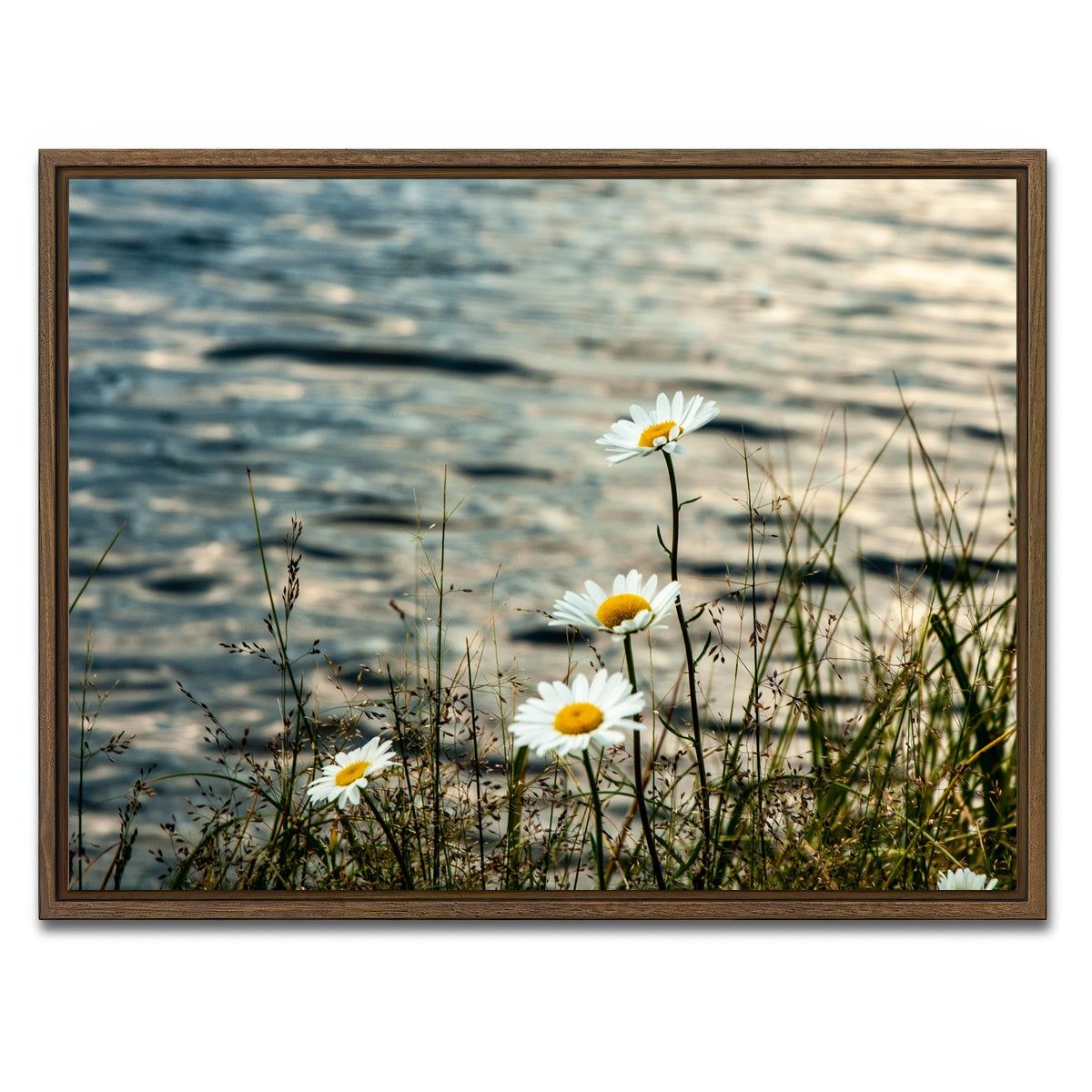 AUTO-MOCKUP WHITE | Lake Flowers | 1 Piece | Walnut Framed Canvas | group=4x3