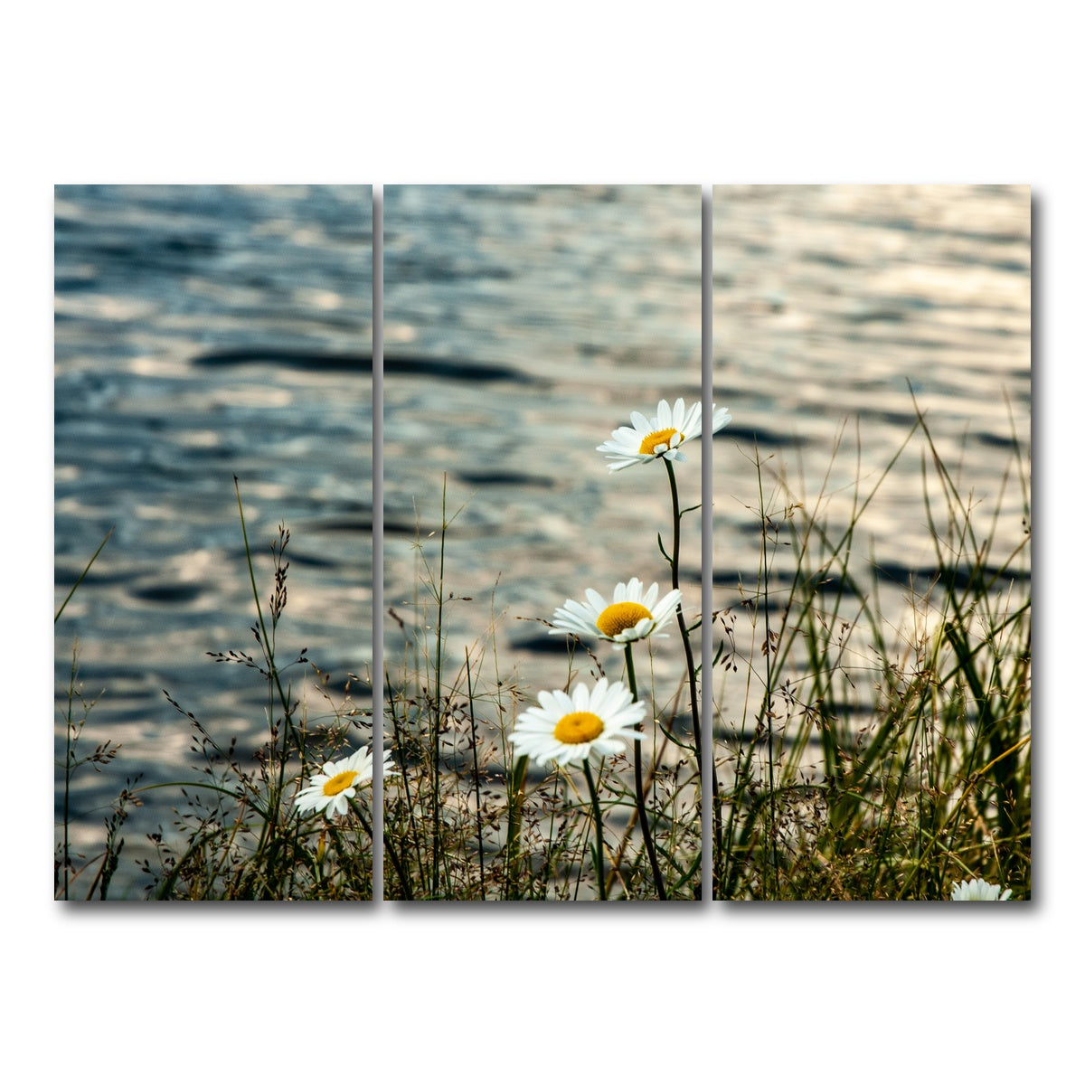 AUTO-MOCKUP WHITE | Lake Flowers | 3 Piece | Gallery Wrap Canvas | group=8x18