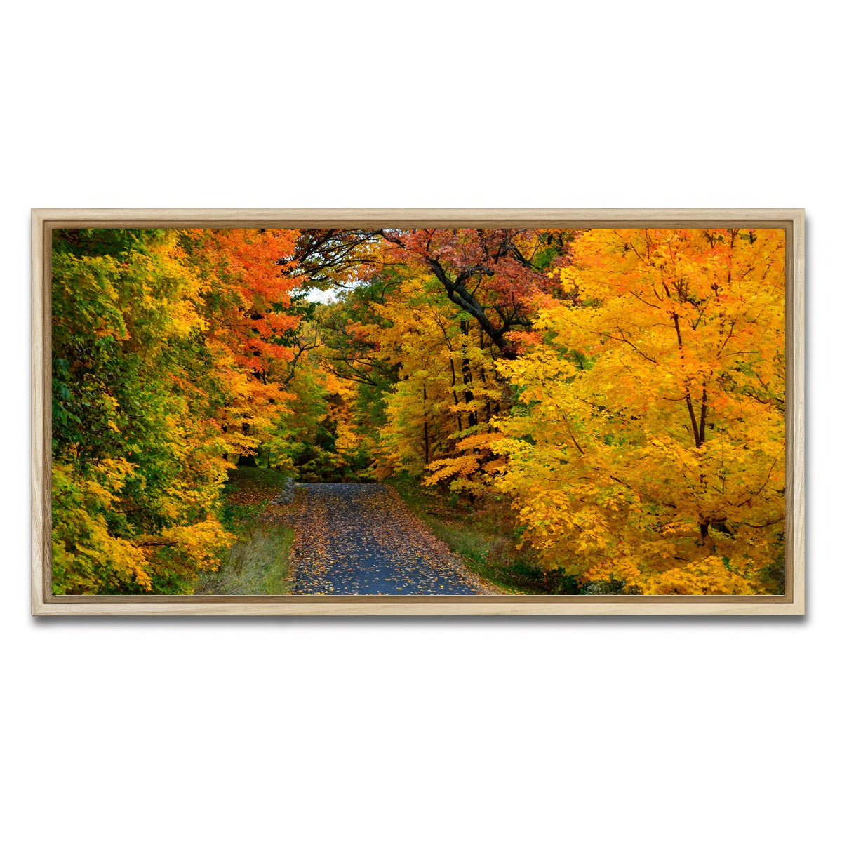 AUTO-MOCKUP WHITE | Lake Geneva Wisconsin Fall Road | 1 Piece | Natural Framed Canvas | group=2x1