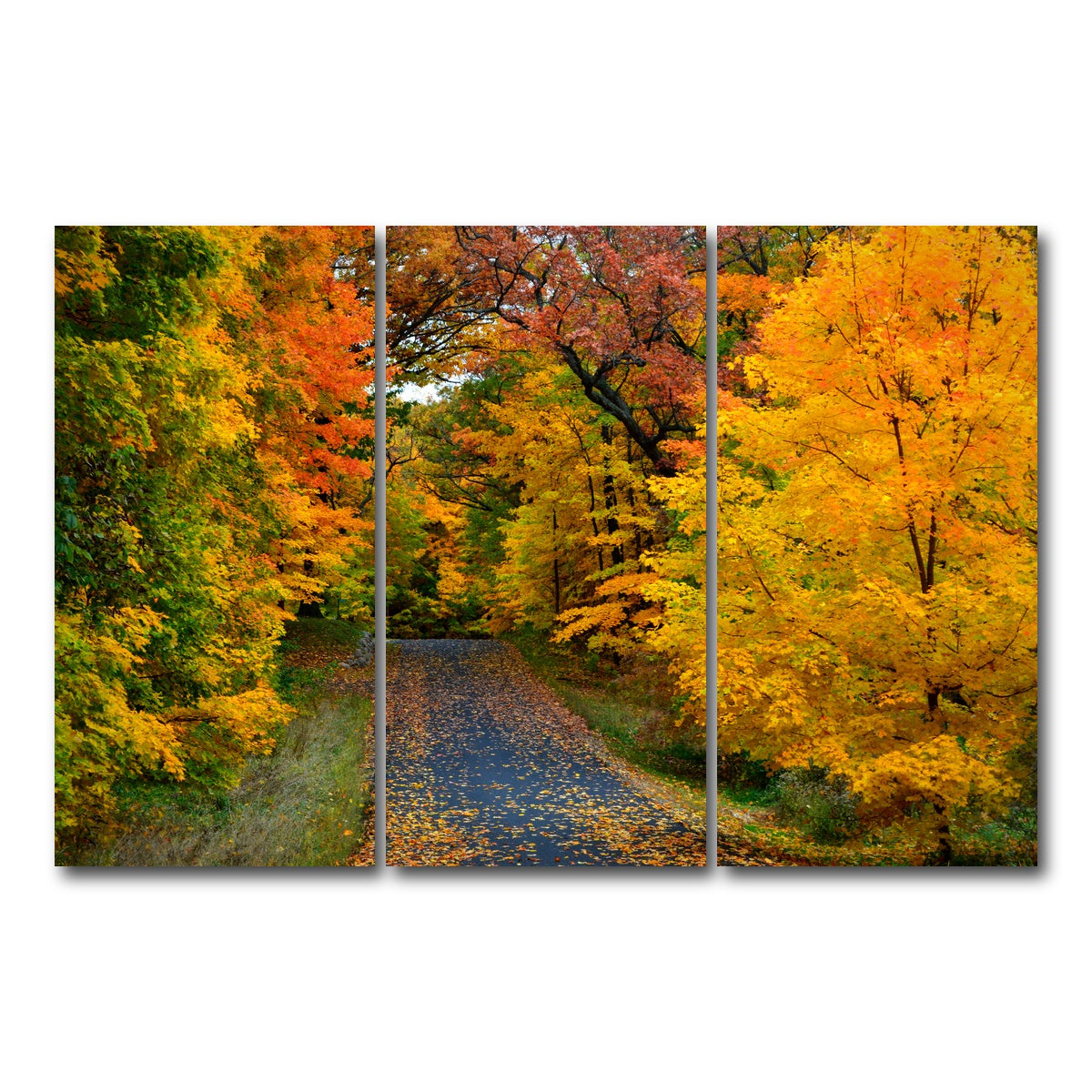 AUTO-MOCKUP WHITE | Lake Geneva Wisconsin Fall Road | 3 Piece | Gallery Wrap Canvas | group=12x24