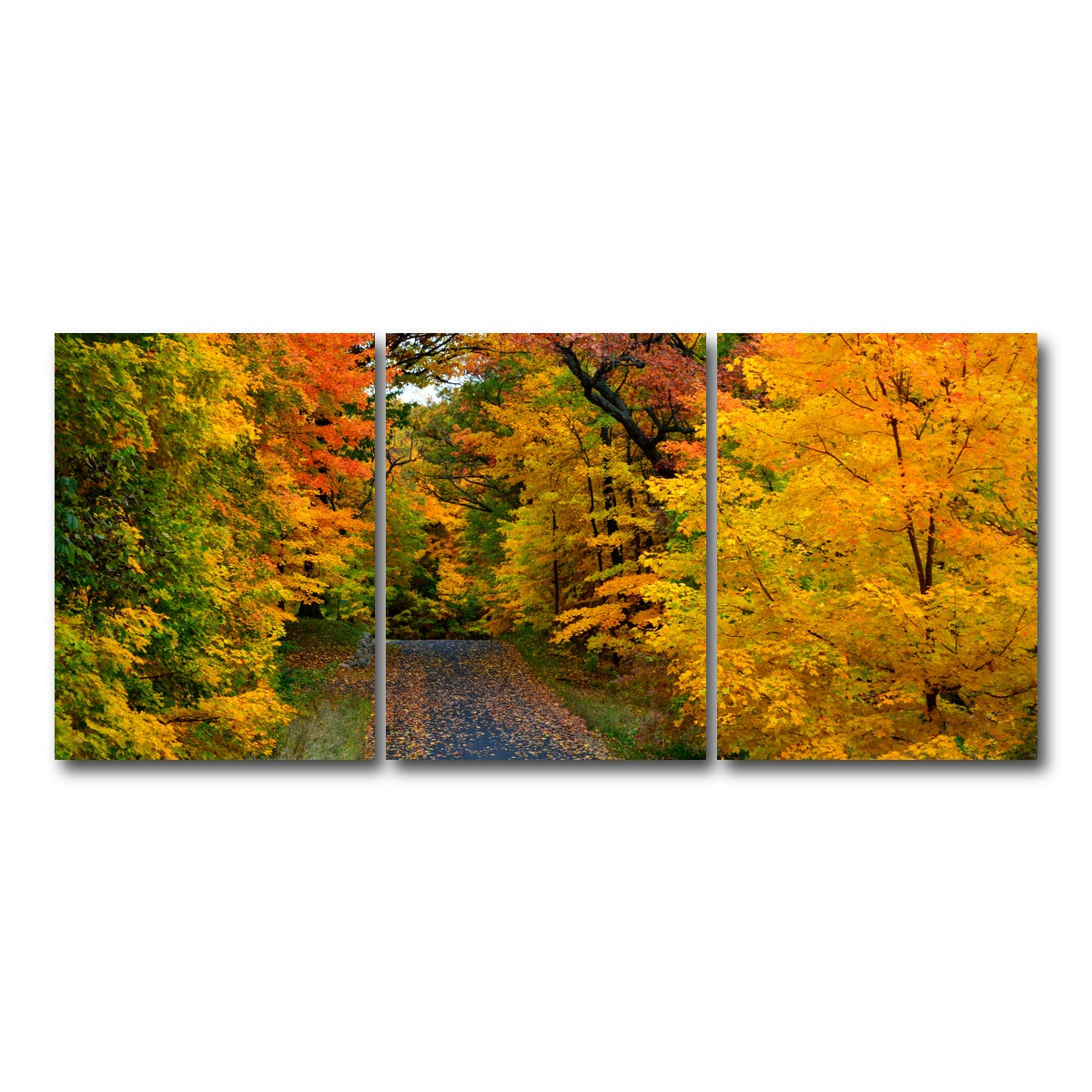 AUTO-MOCKUP WHITE | Lake Geneva Wisconsin Fall Road | 3 Piece | Gallery Wrap Canvas | group=18x24