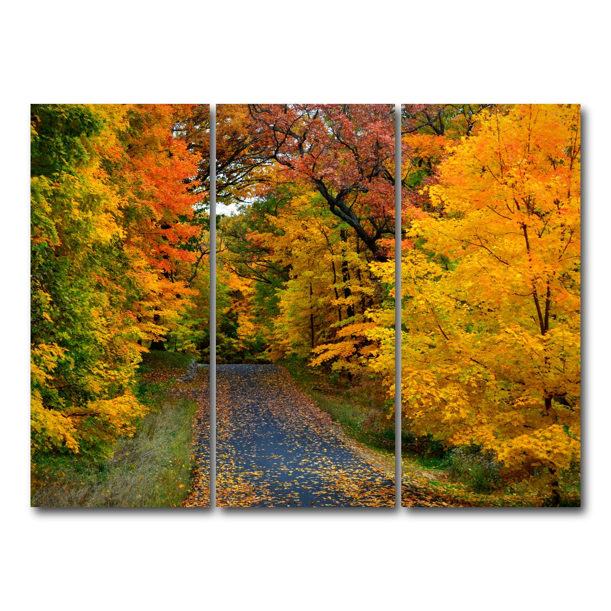 AUTO-MOCKUP WHITE | Lake Geneva Wisconsin Fall Road | 3 Piece | Gallery Wrap Canvas | group=8x18