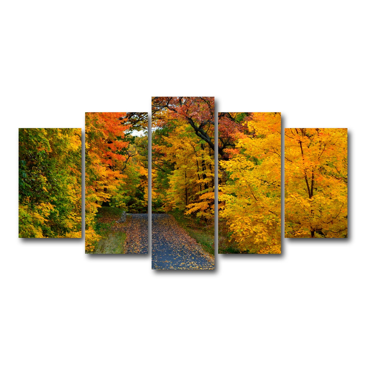 AUTO-MOCKUP WHITE | Lake Geneva Wisconsin Fall Road | 5 Piece | Gallery Wrap Canvas | group=5_normal