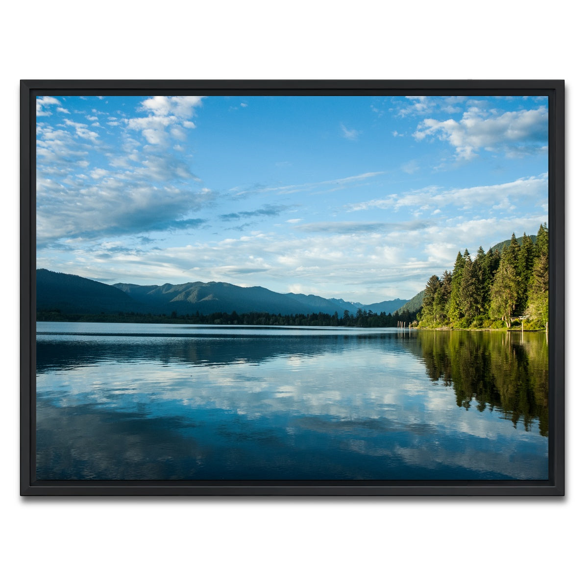 AUTO-MOCKUP WHITE | Lake Quinault | 1 Piece | Black Framed Canvas | group=4x3