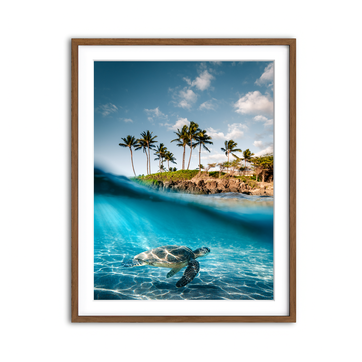 Framed Print 3x4 Walnut