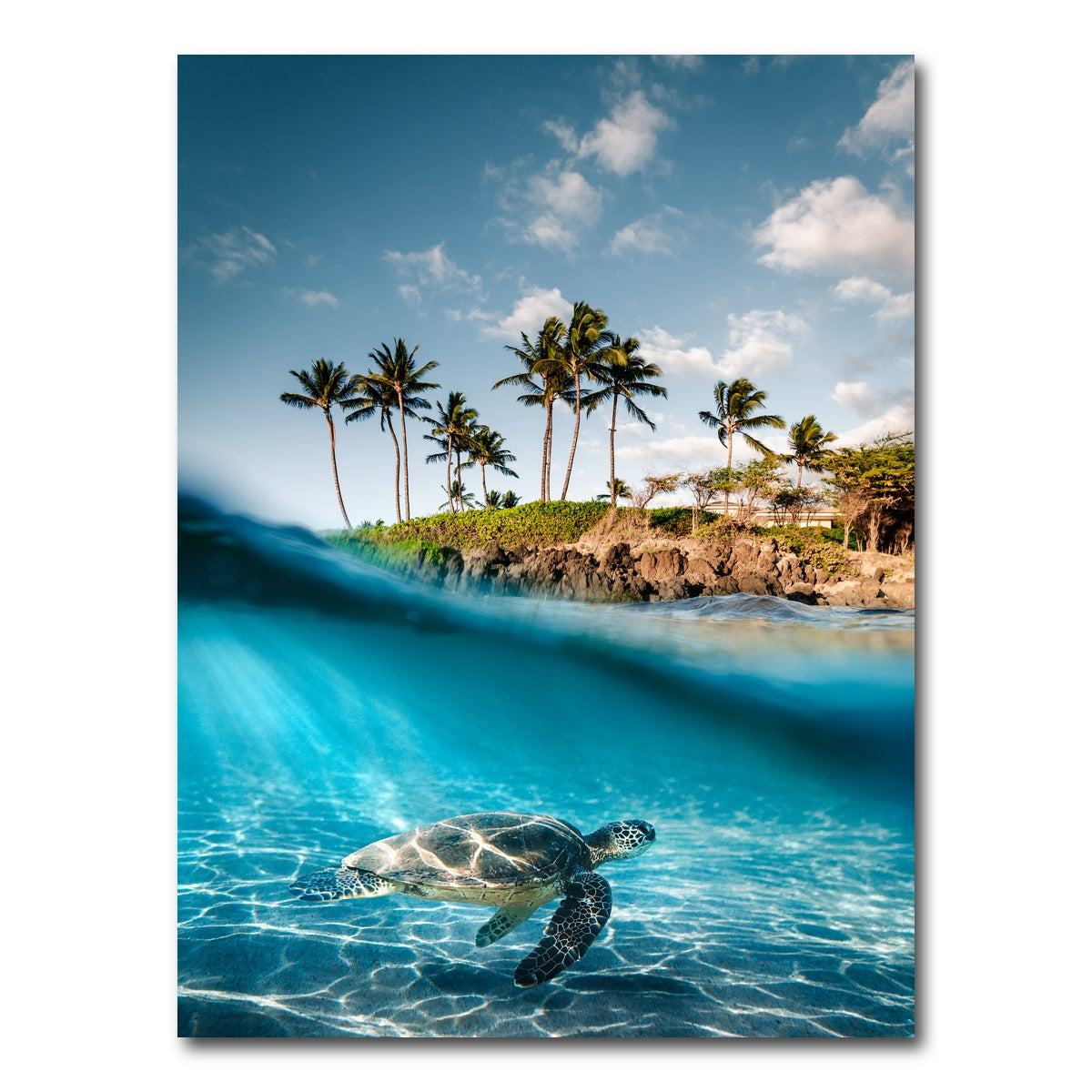 AUTO-MOCKUP WHITE | Land & Sea | 1 Piece | Gallery Wrap Canvas | group=3x4
