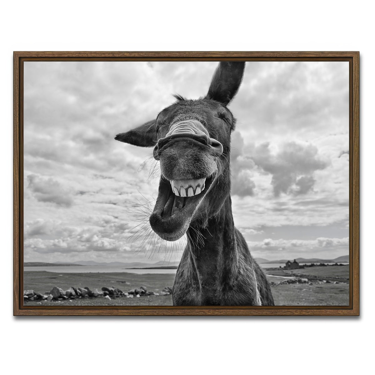 AUTO-MOCKUP WHITE | Laughing Donkey | 1 Piece | Walnut Framed Canvas | group=4x3