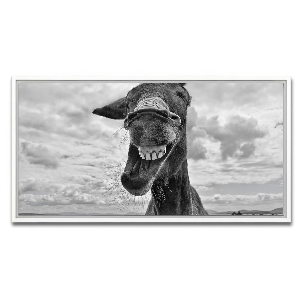 AUTO-MOCKUP WHITE | Laughing Donkey | 1 Piece | White Framed Canvas | group=2x1