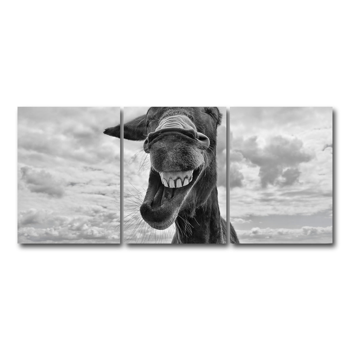 AUTO-MOCKUP WHITE | Laughing Donkey | 3 Piece | Gallery Wrap Canvas | group=18x24