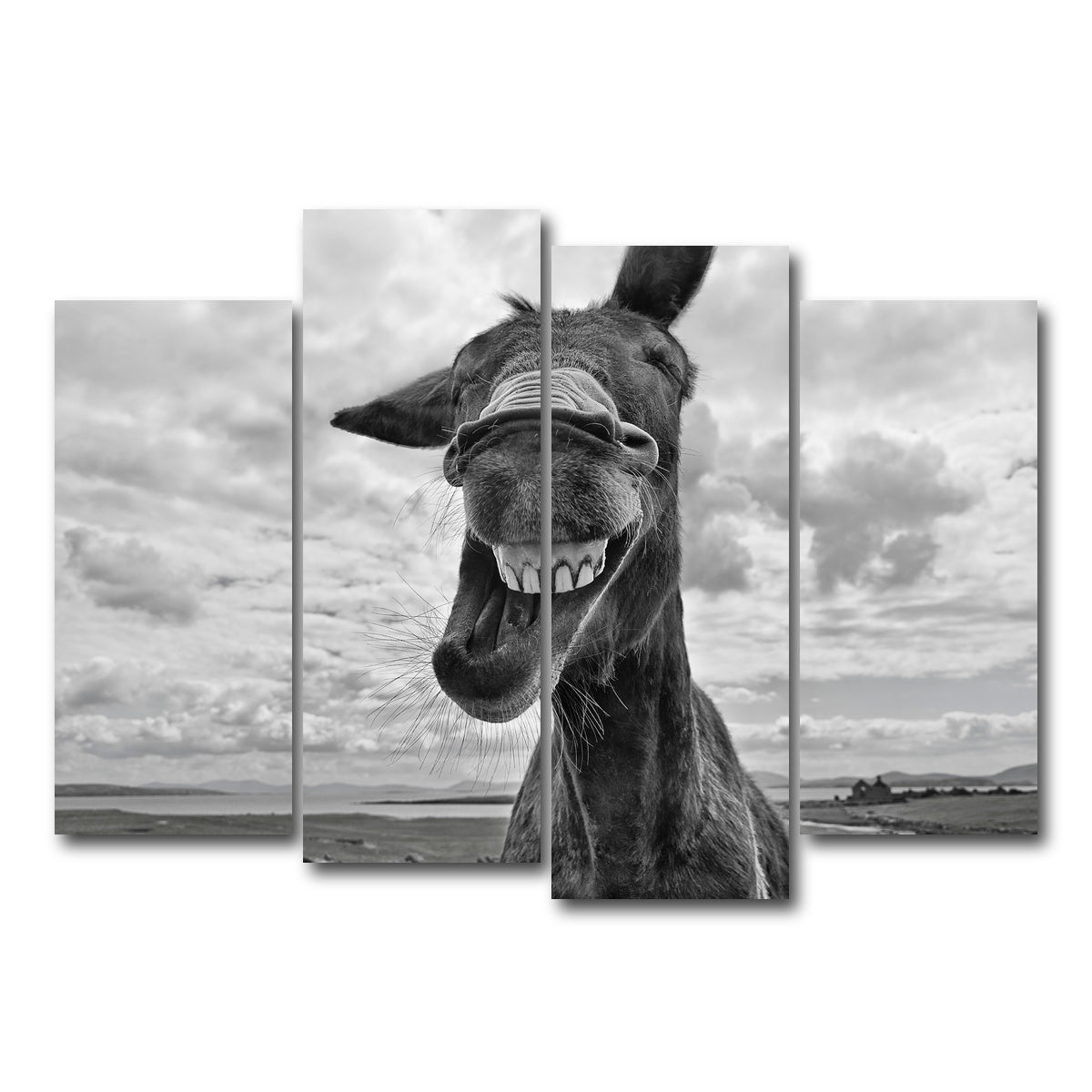 AUTO-MOCKUP WHITE | Laughing Donkey | 4 Piece | Gallery Wrap Canvas | group=4_normal
