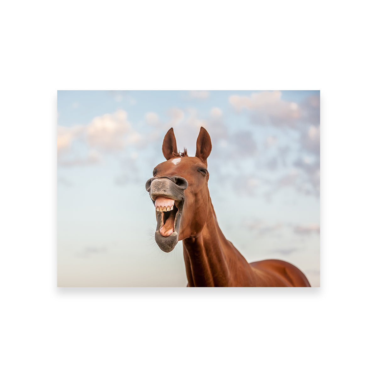 Laughing Horse Wall Art