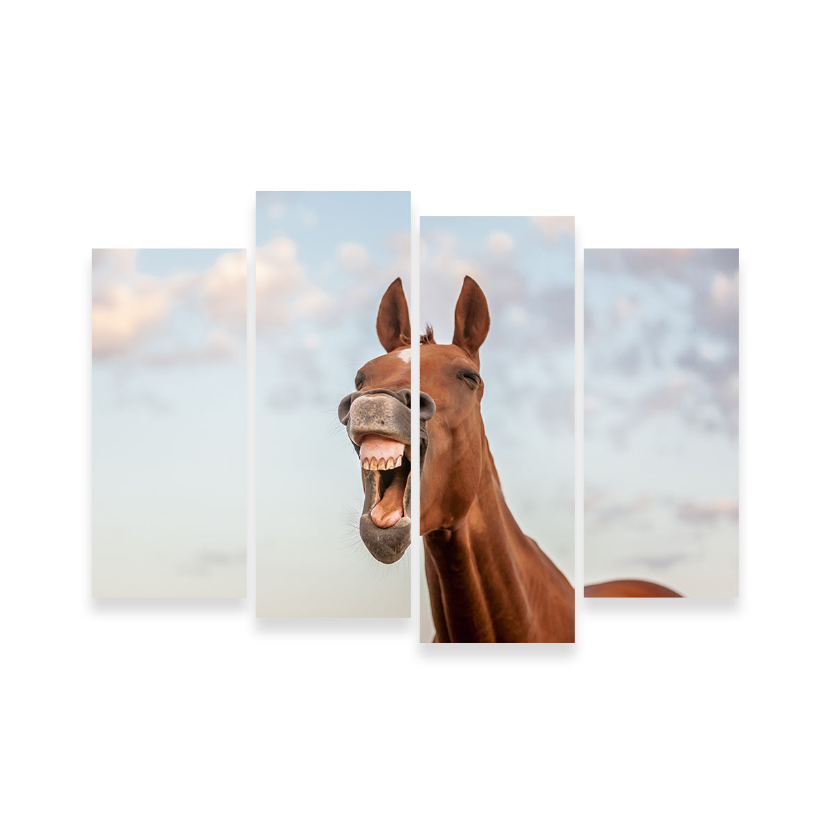 Laughing Horse Wall Art