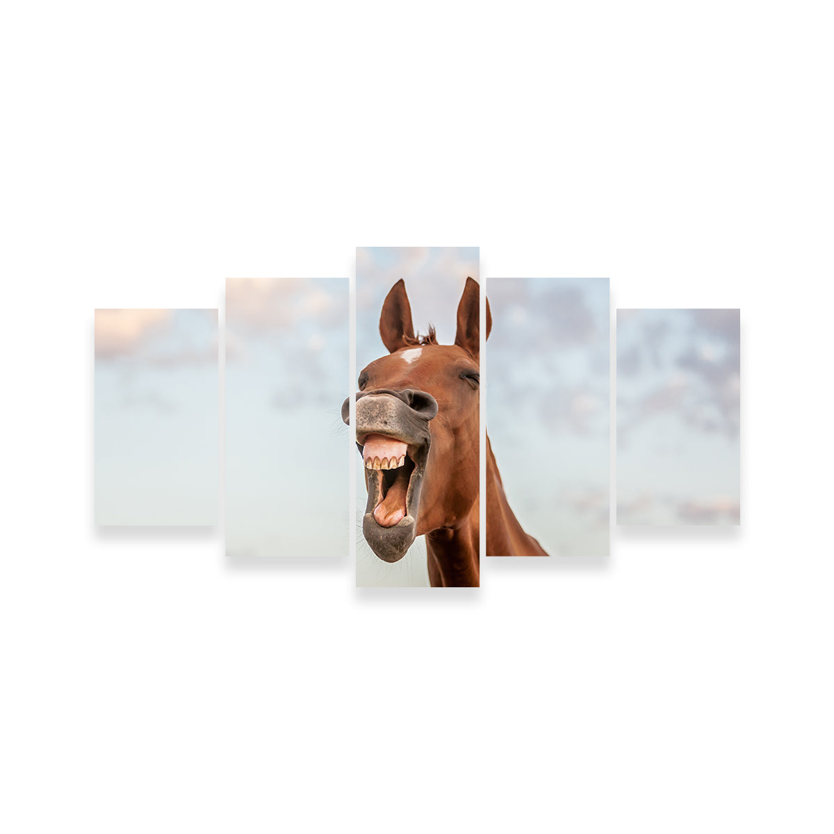 Laughing Horse Wall Art