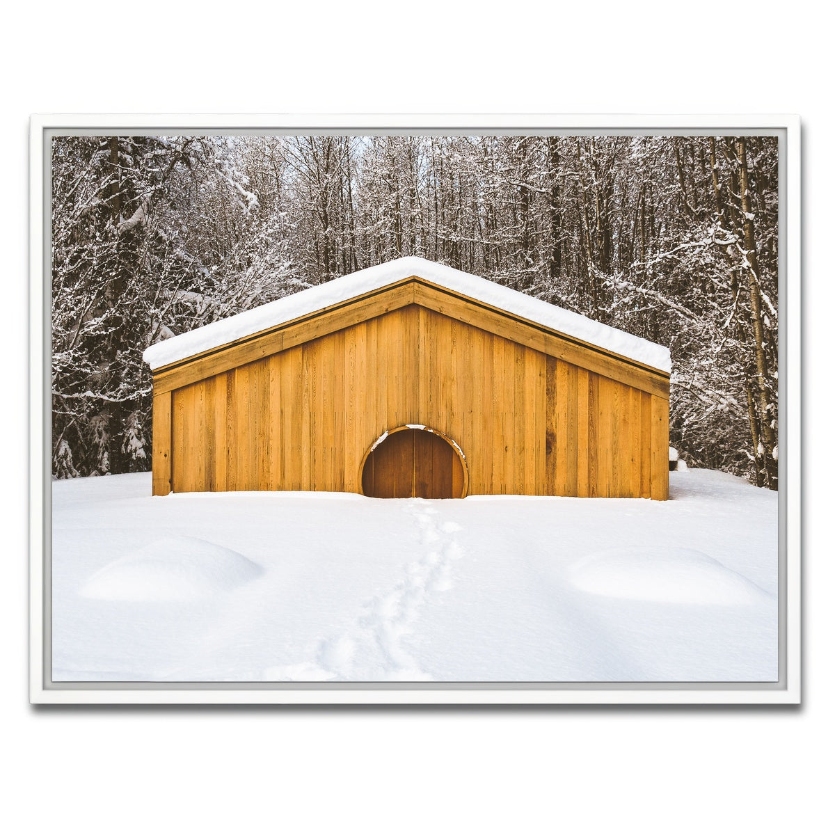 AUTO-MOCKUP WHITE | Lava Bed Provincial Park | 1 Piece | White Framed Canvas | group=4x3