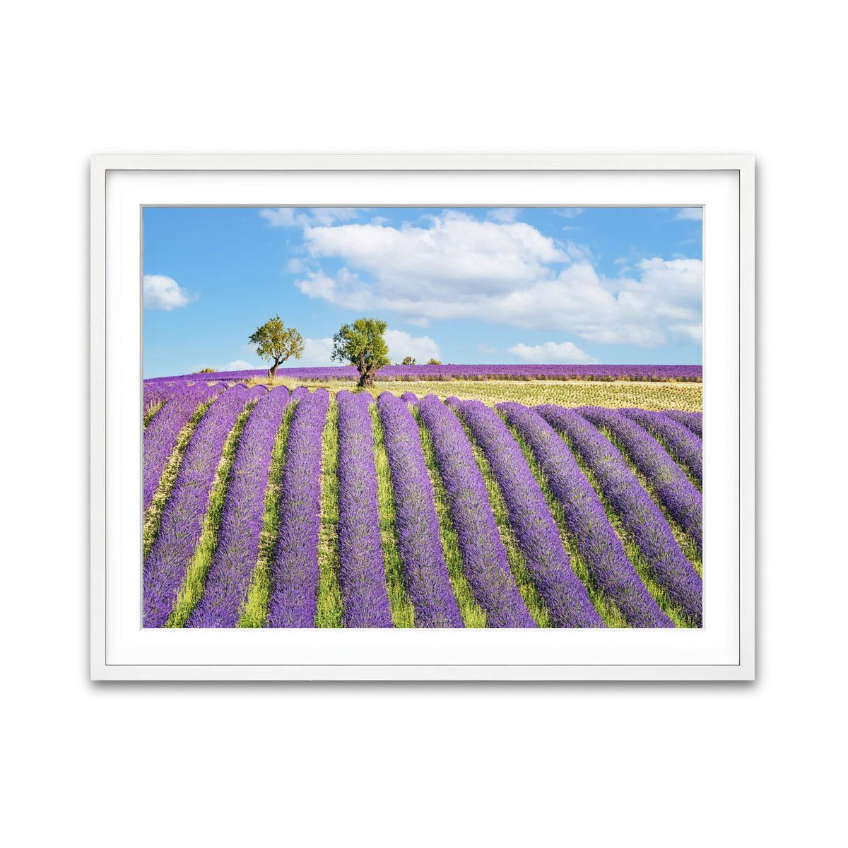 Framed Print 4x3 White