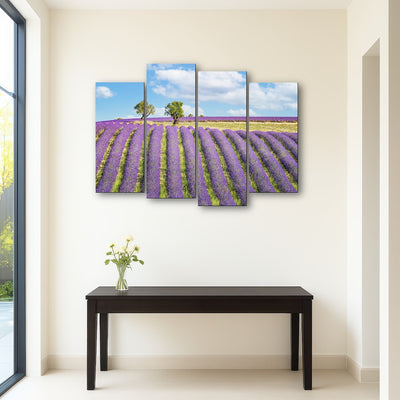 AUTO-MOCKUP ROOM | Lavender Field