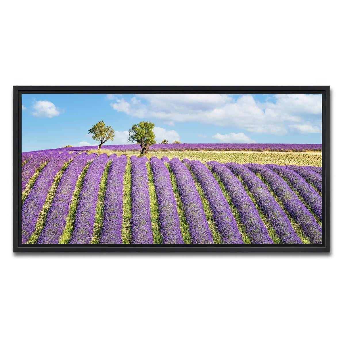 AUTO-MOCKUP WHITE | Lavender Field | 1 Piece | Black Framed Canvas | group=2x1