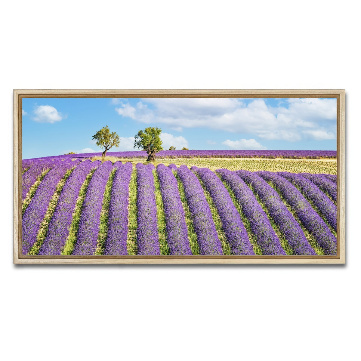 AUTO-MOCKUP WHITE | Lavender Field | 1 Piece | Natural Framed Canvas | group=2x1
