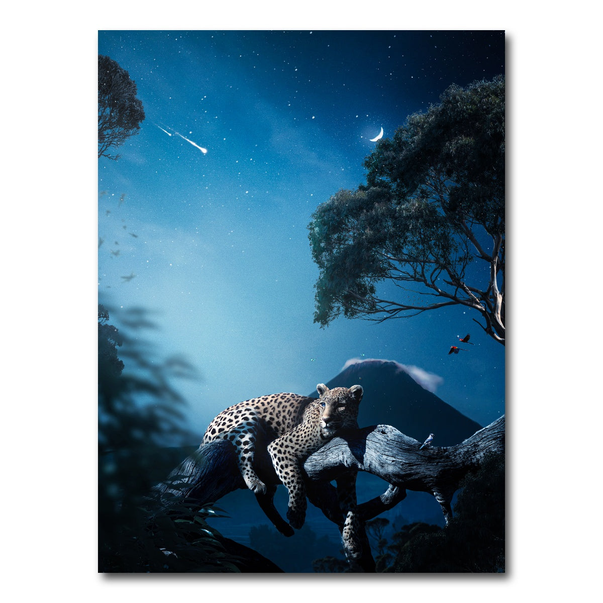 AUTO-MOCKUP WHITE | Leopard in the Night | 1 Piece | Gallery Wrap Canvas | group=3x4