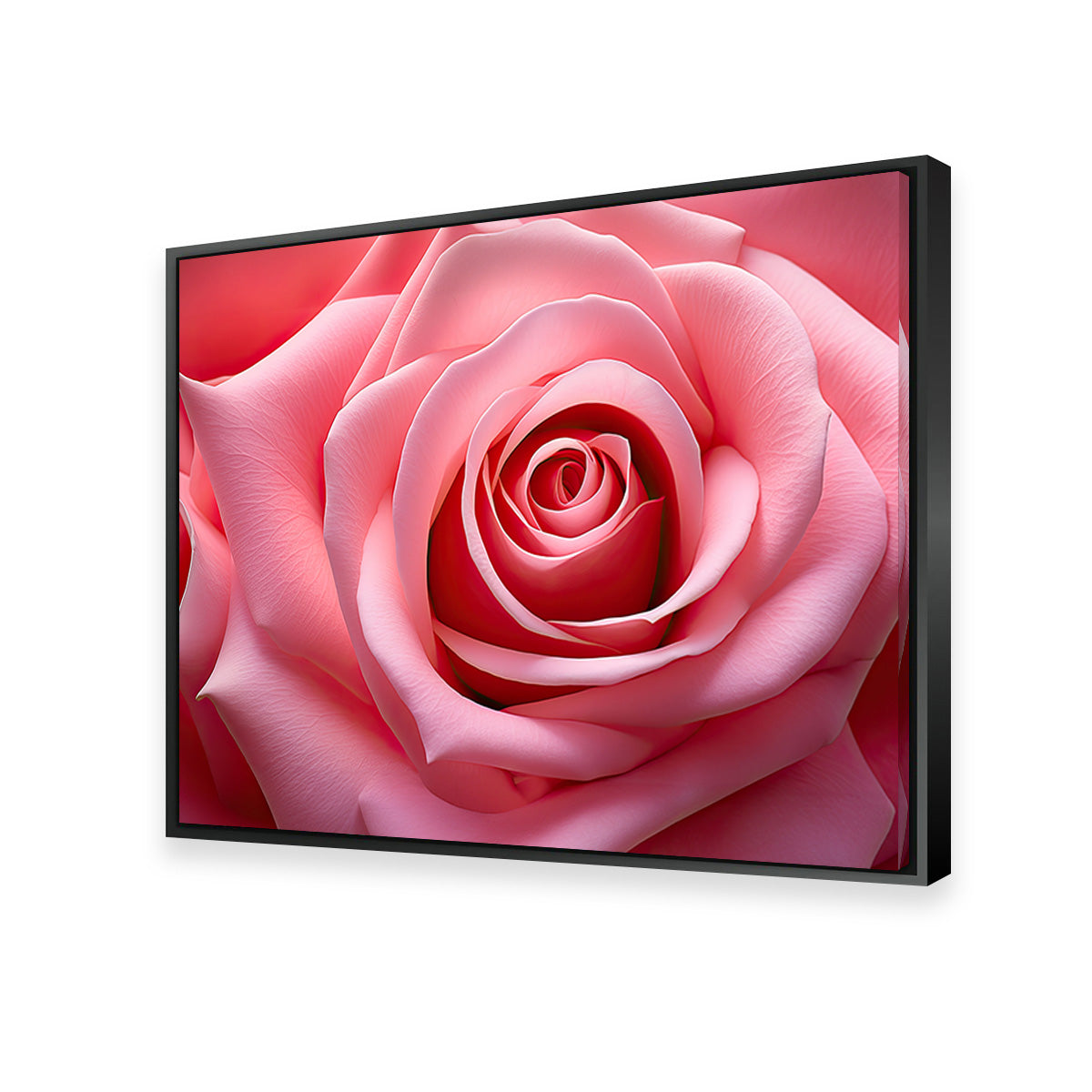 Light Pink Rose Wall Art