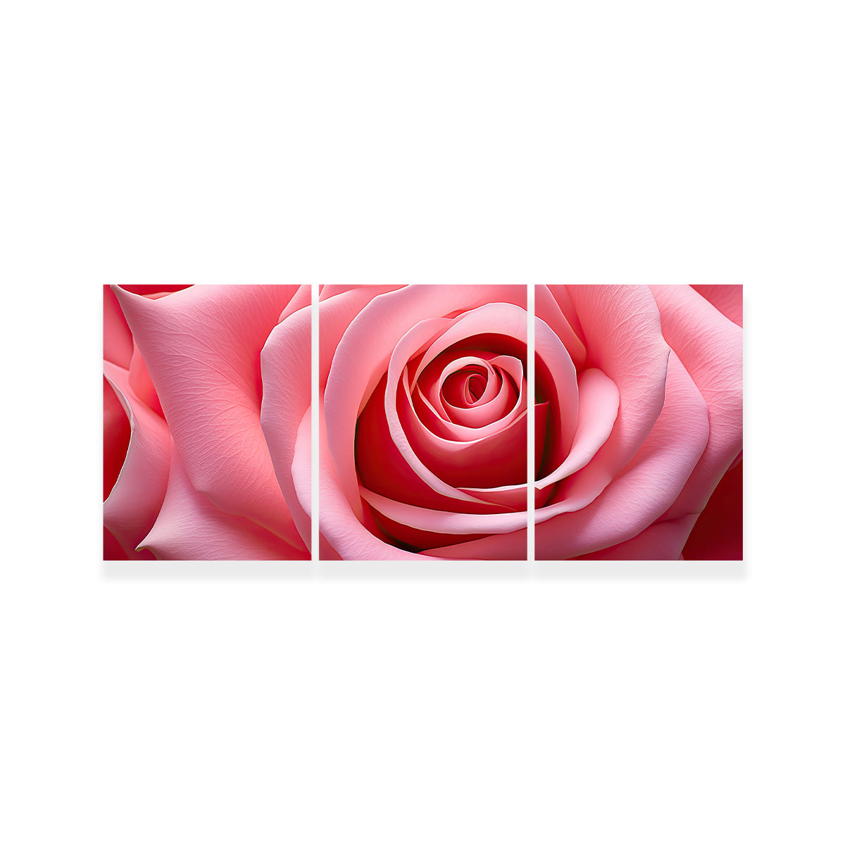 Light Pink Rose Wall Art