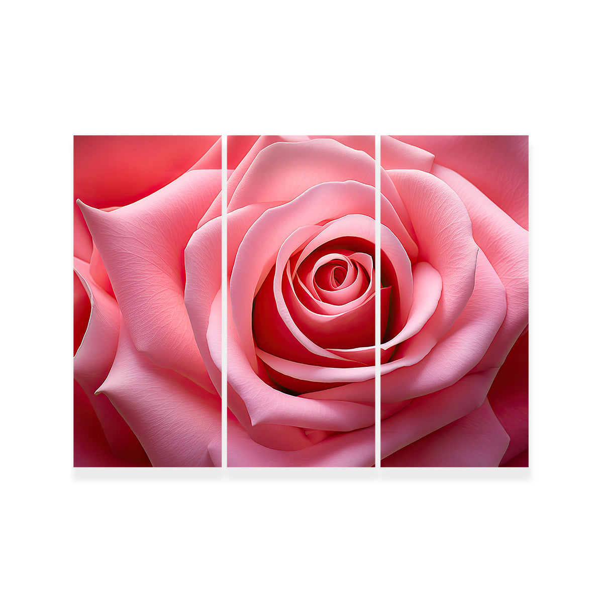Light Pink Rose Wall Art