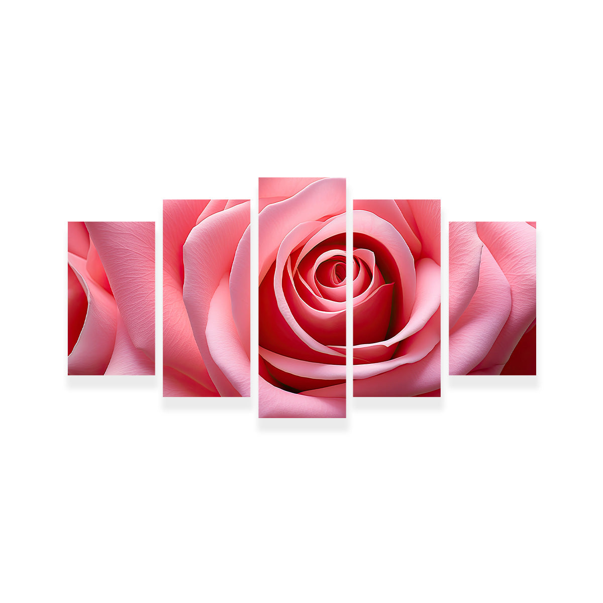 Light Pink Rose Wall Art