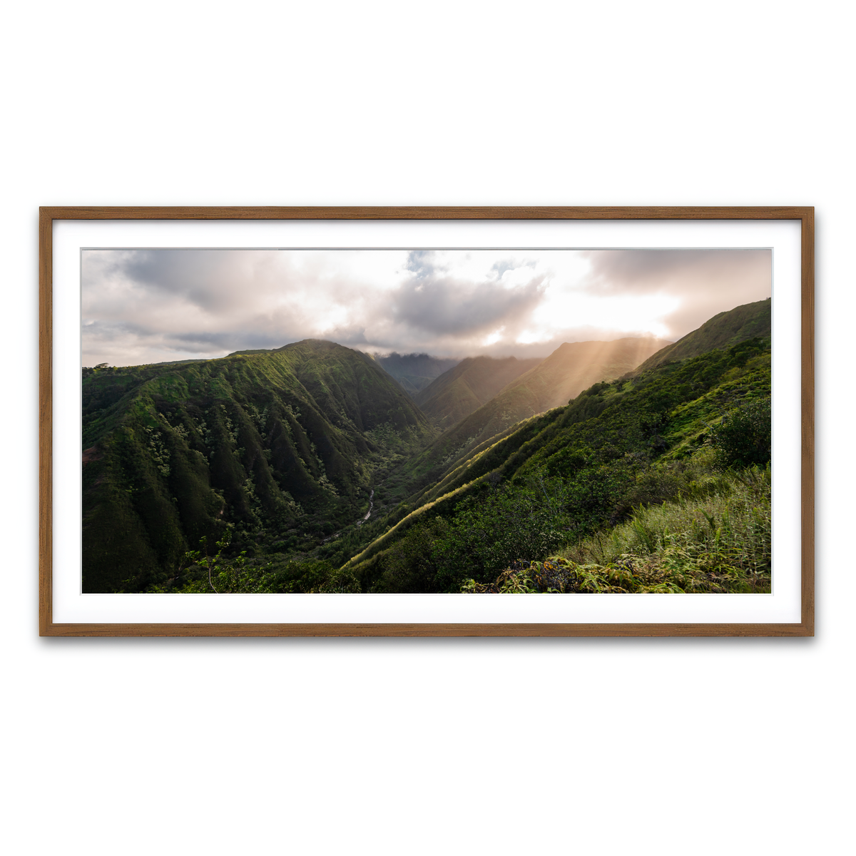 Framed Print 2x1 Walnut