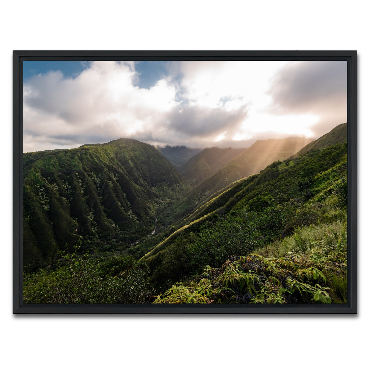 AUTO-MOCKUP WHITE | Light in the Valley | 1 Piece | Black Framed Canvas | group=4x3