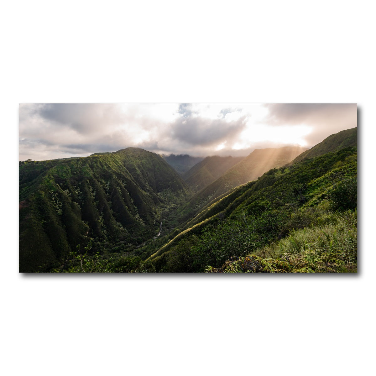 AUTO-MOCKUP WHITE | Light in the Valley | 1 Piece | Gallery Wrap Canvas | group=2x1