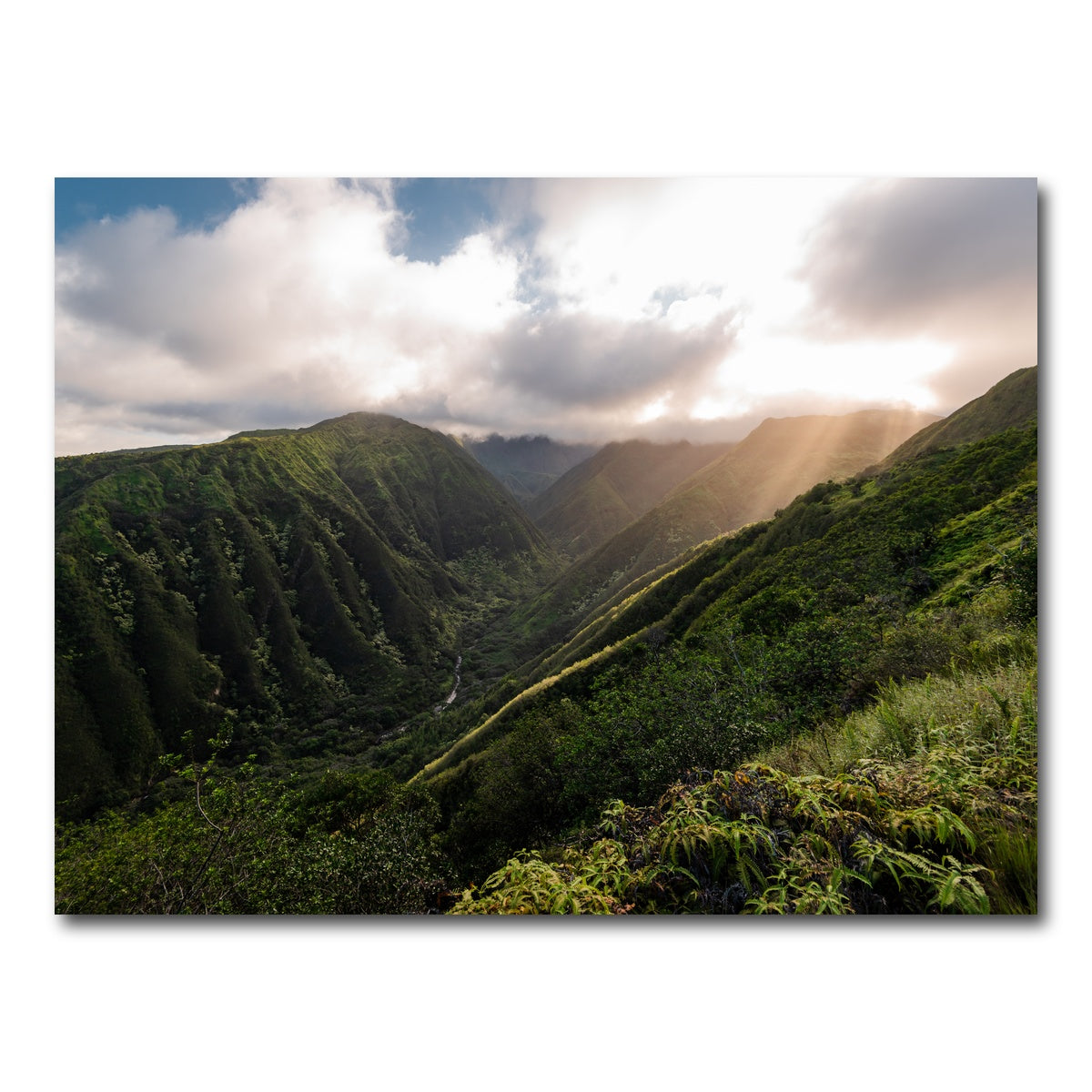 AUTO-MOCKUP WHITE | Light in the Valley | 1 Piece | Gallery Wrap Canvas | group=4x3