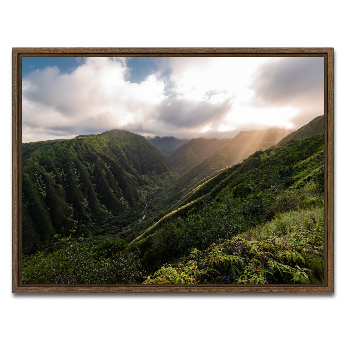 AUTO-MOCKUP WHITE | Light in the Valley | 1 Piece | Walnut Framed Canvas | group=4x3