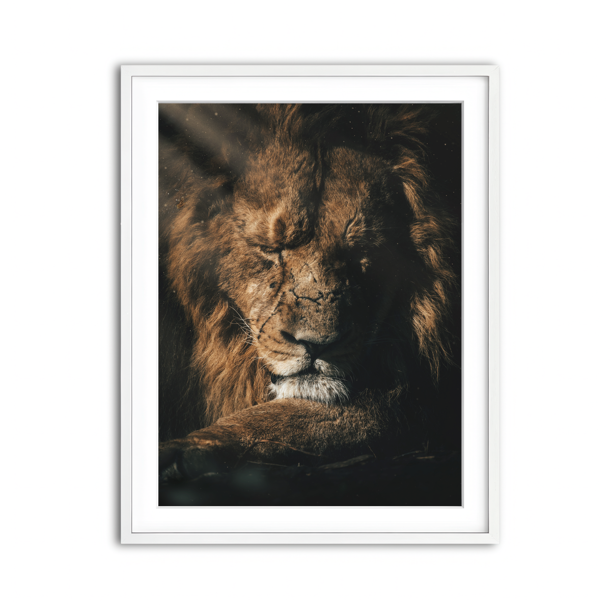 Framed Print 3x4 White