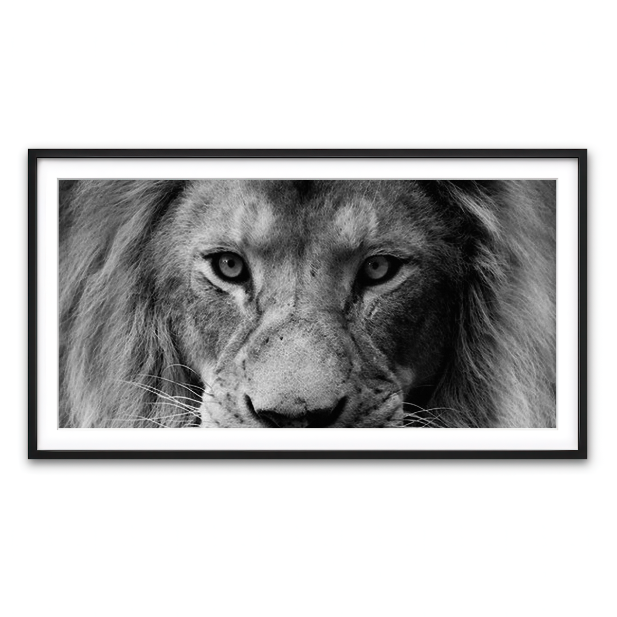 Framed Print 2x1 Black