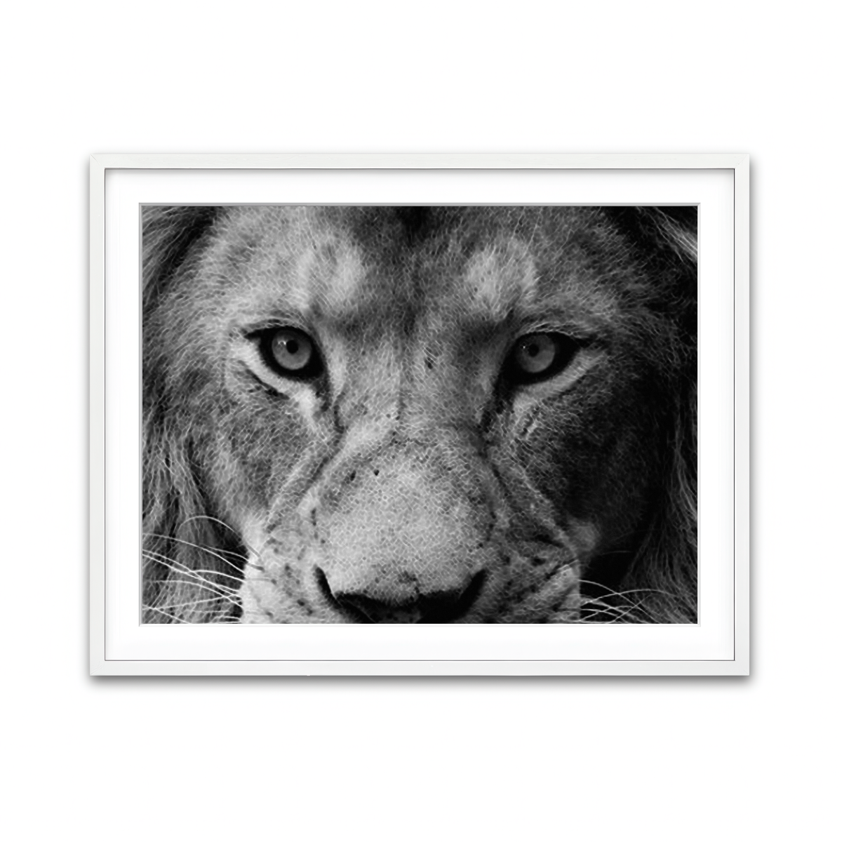 Framed Print 4x3 White