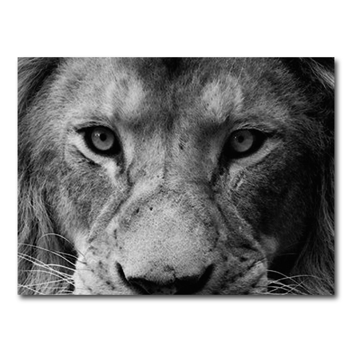 AUTO-MOCKUP WHITE | Lion | 1 Piece | Gallery Wrap Canvas | group=4x3