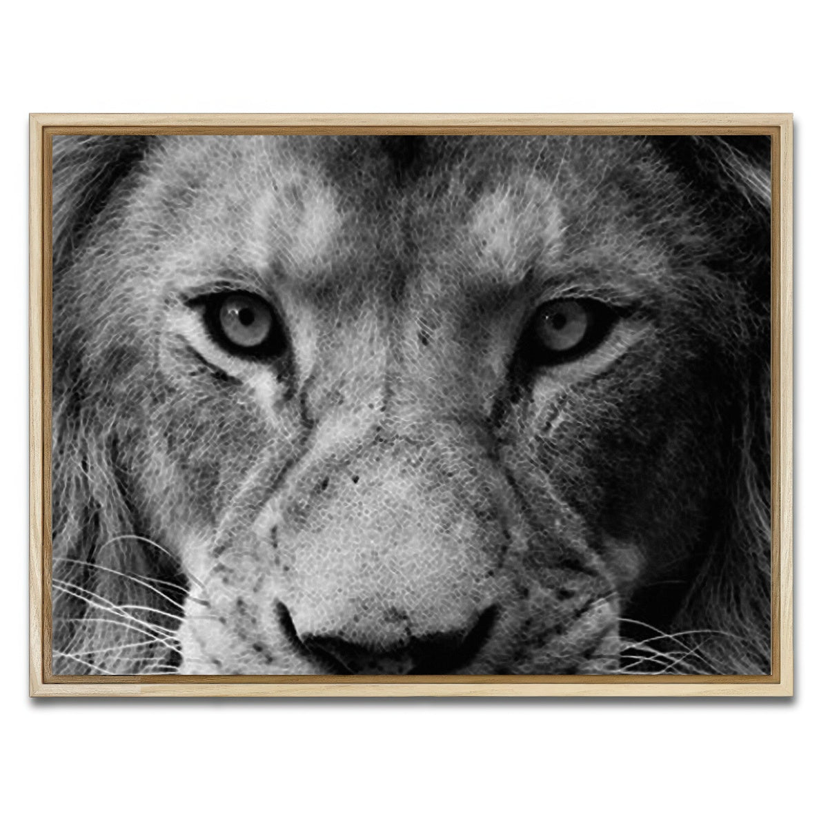 AUTO-MOCKUP WHITE | Lion | 1 Piece | Natural Framed Canvas | group=4x3