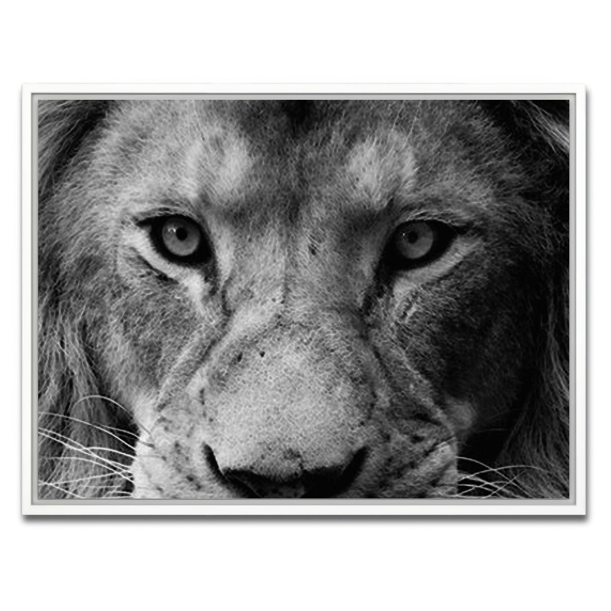 AUTO-MOCKUP WHITE | Lion | 1 Piece | White Framed Canvas | group=4x3