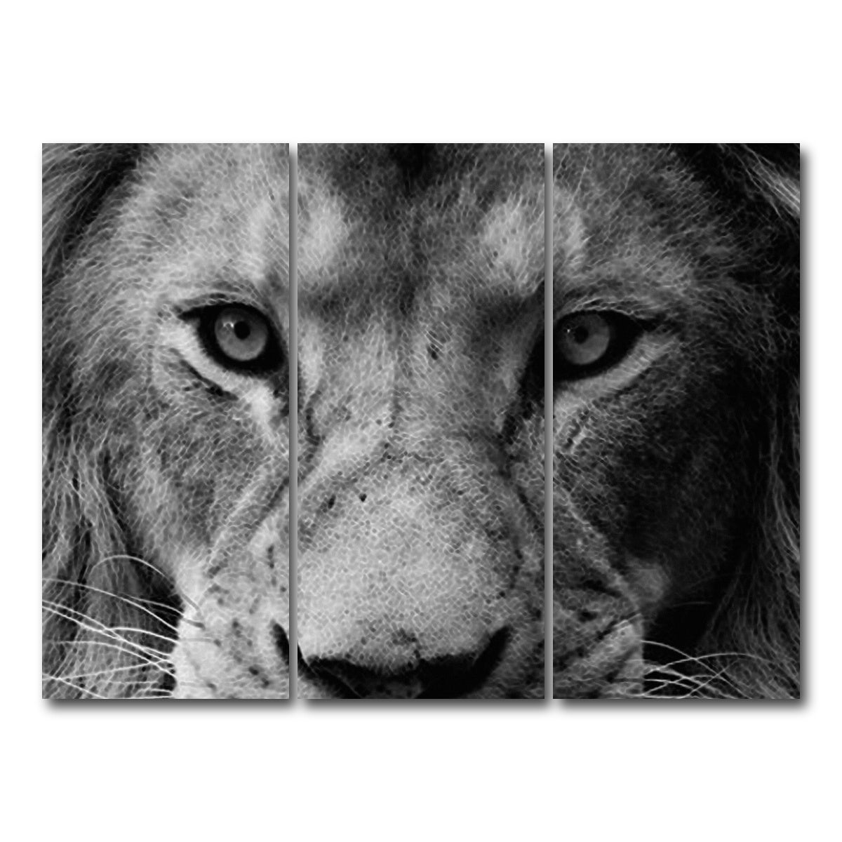AUTO-MOCKUP WHITE | Lion | 3 Piece | Gallery Wrap Canvas | group=8x18