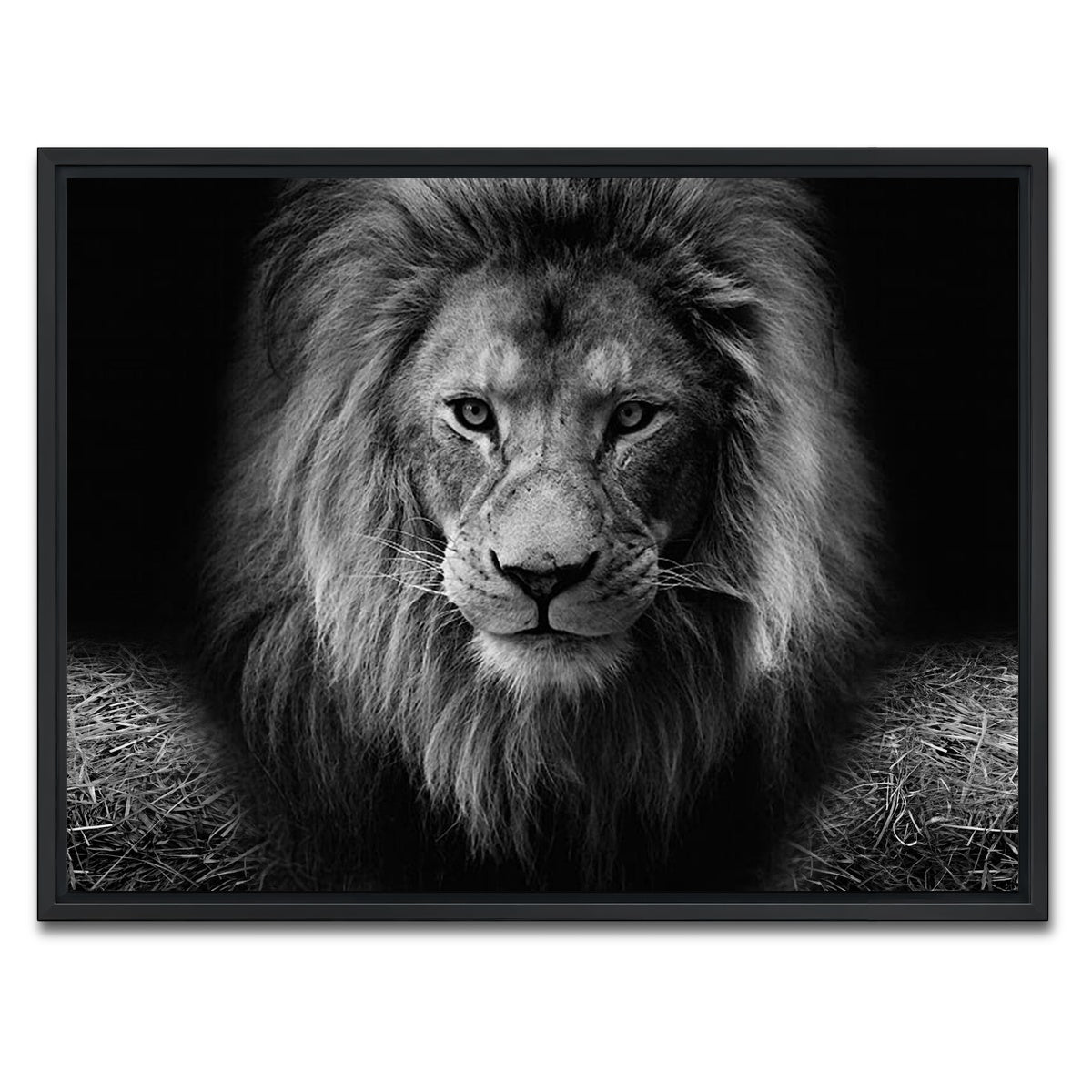 AUTO-MOCKUP WHITE | Lion head | 1 Piece | Black Framed Canvas | group=4x3