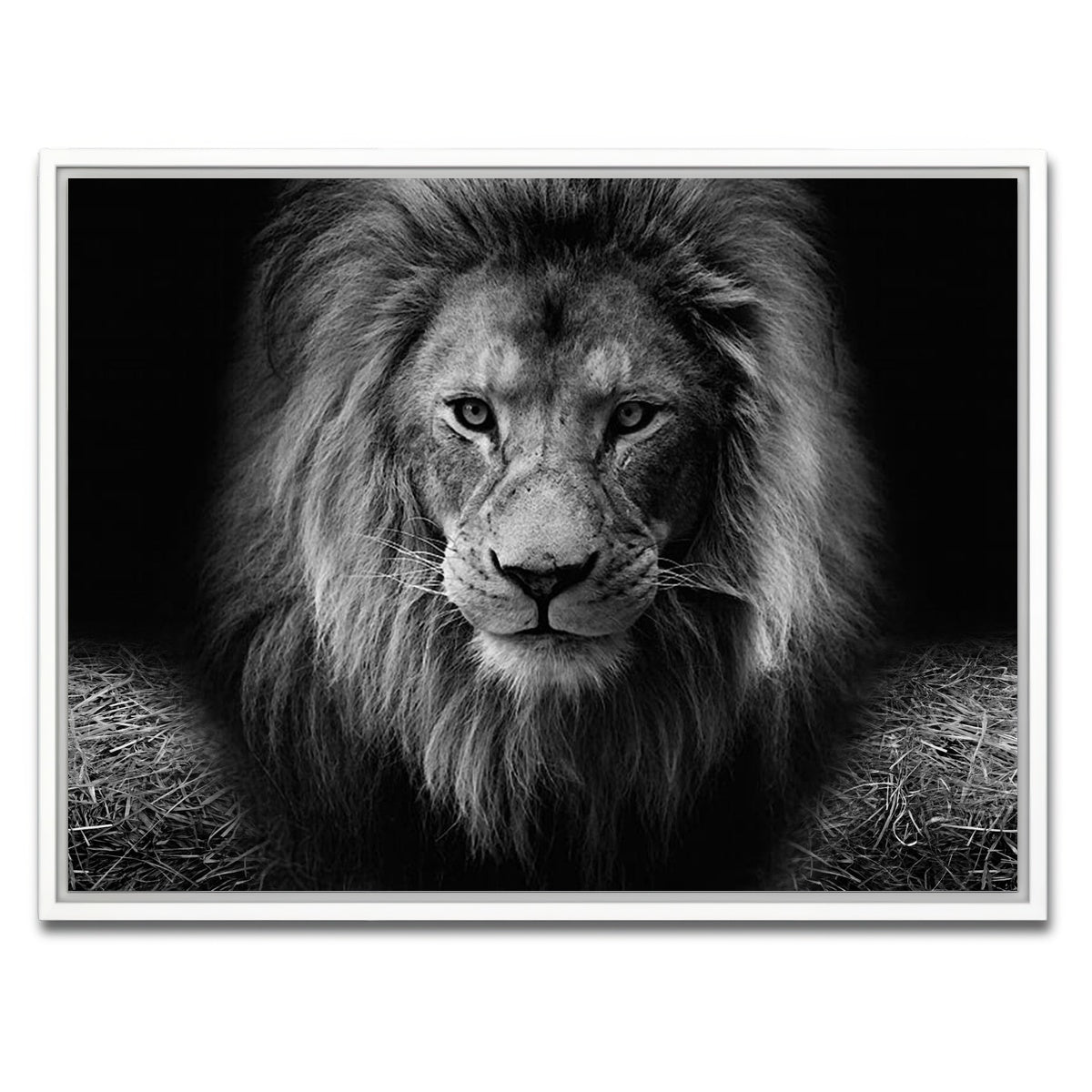 AUTO-MOCKUP WHITE | Lion head | 1 Piece | White Framed Canvas | group=4x3