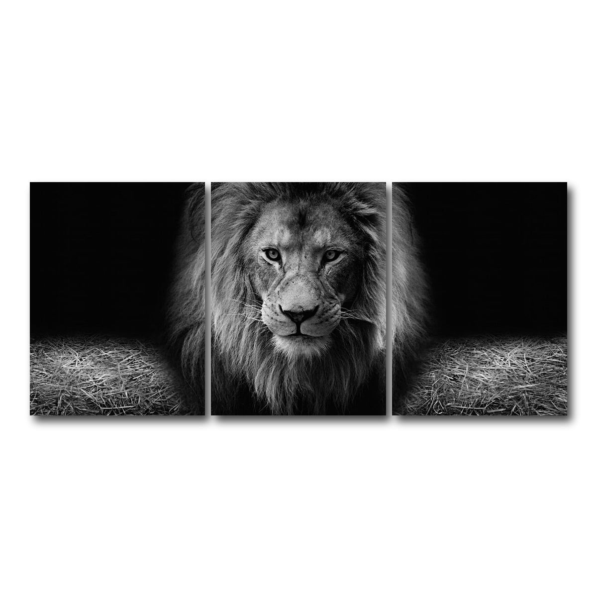 AUTO-MOCKUP WHITE | Lion head | 3 Piece | Gallery Wrap Canvas | group=18x24