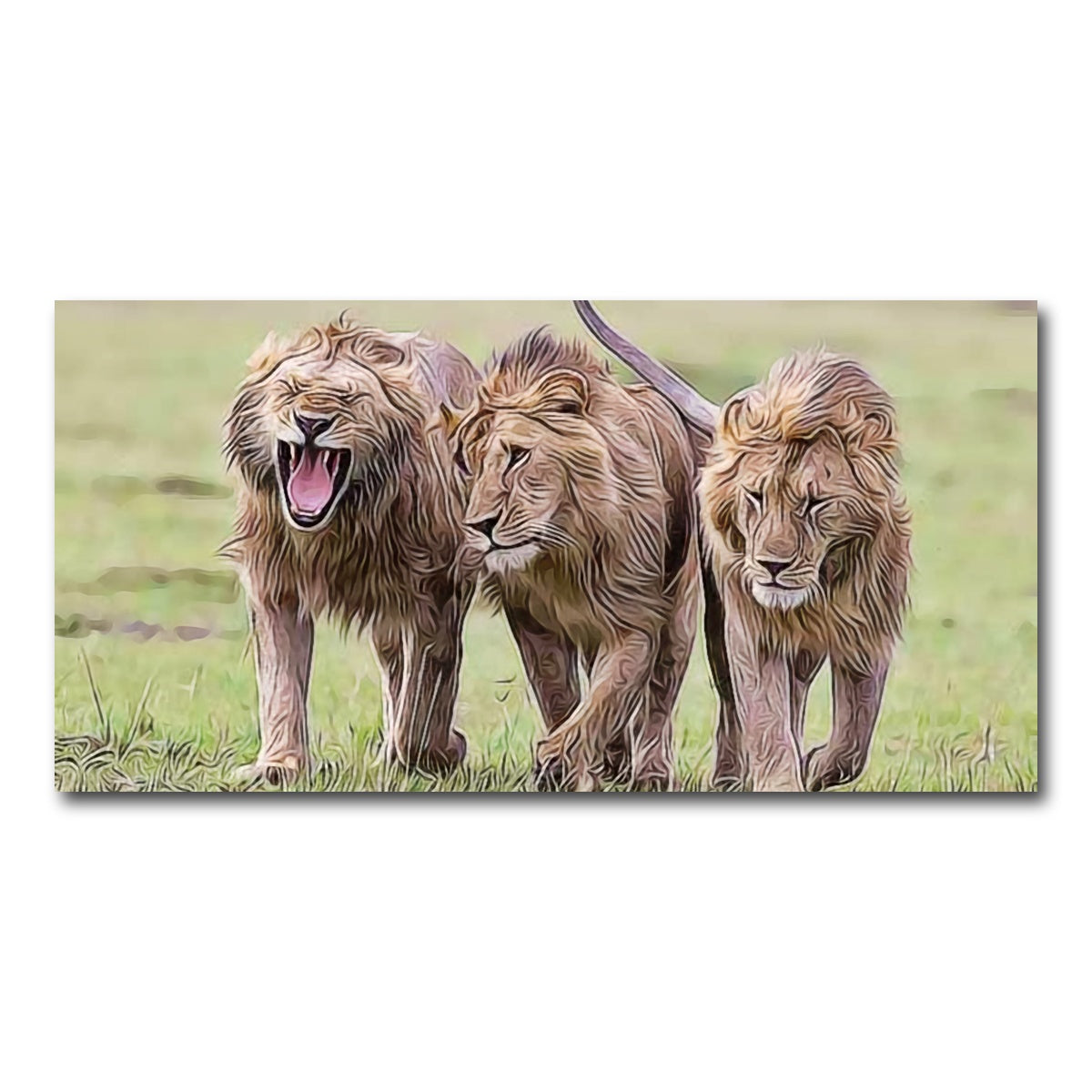 AUTO-MOCKUP WHITE | Lions Art | 1 Piece | Gallery Wrap Canvas | group=2x1