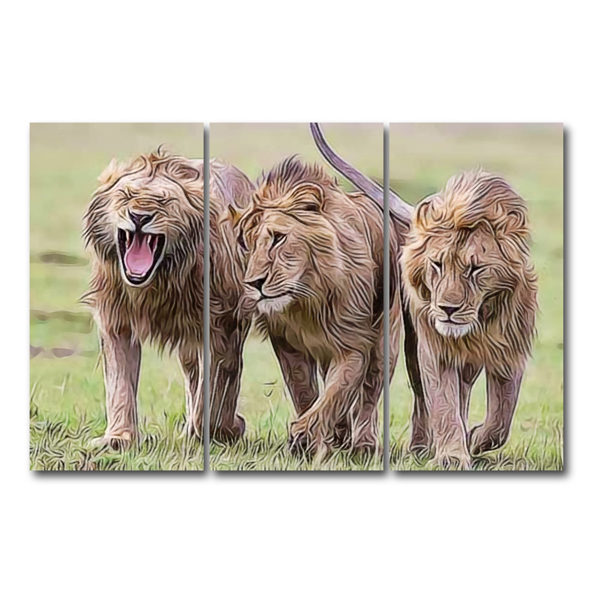 AUTO-MOCKUP WHITE | Lions Art | 3 Piece | Gallery Wrap Canvas | group=12x24