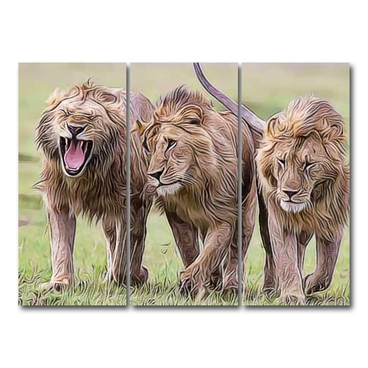 AUTO-MOCKUP WHITE | Lions Art | 3 Piece | Gallery Wrap Canvas | group=8x18