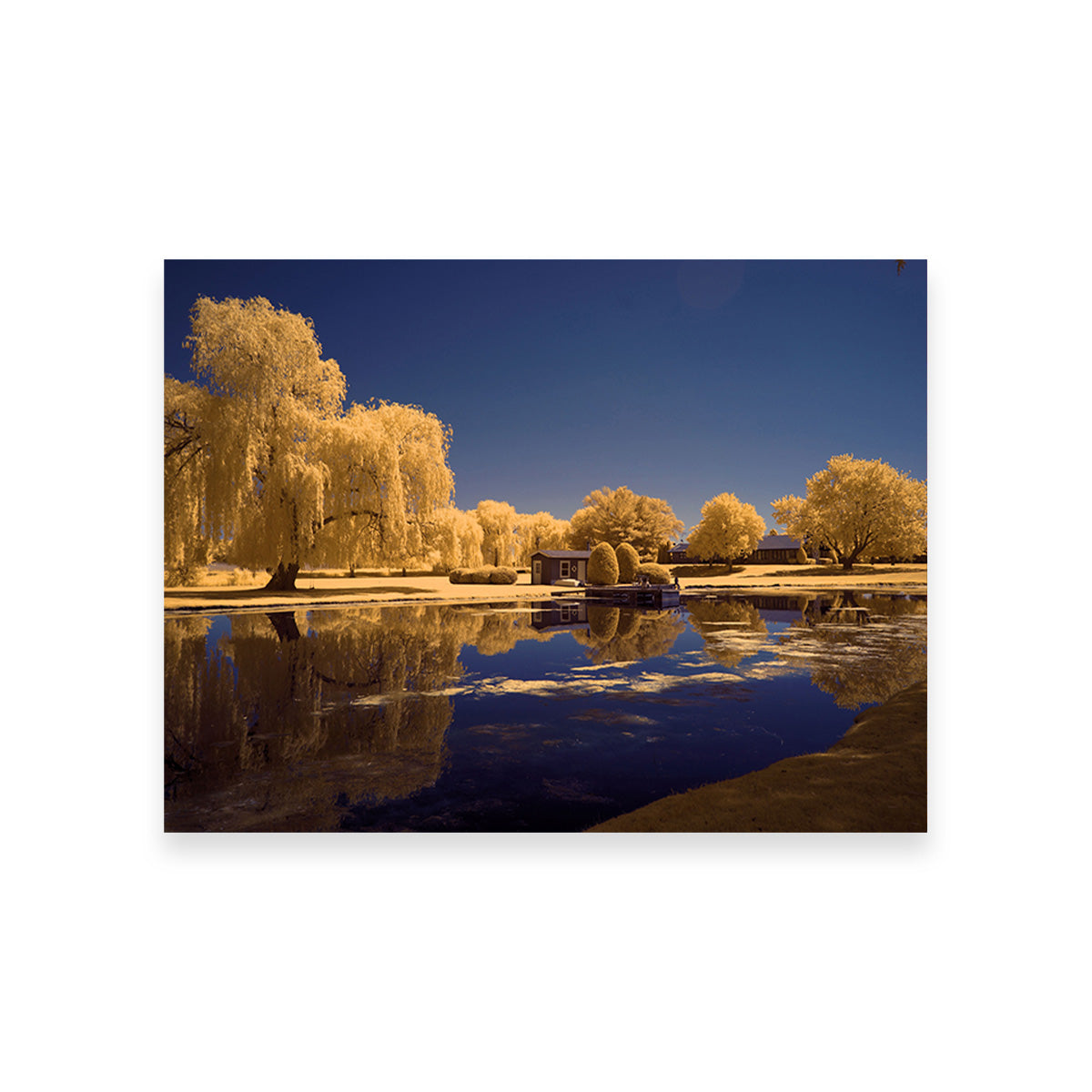 Lippold Park Wall Art