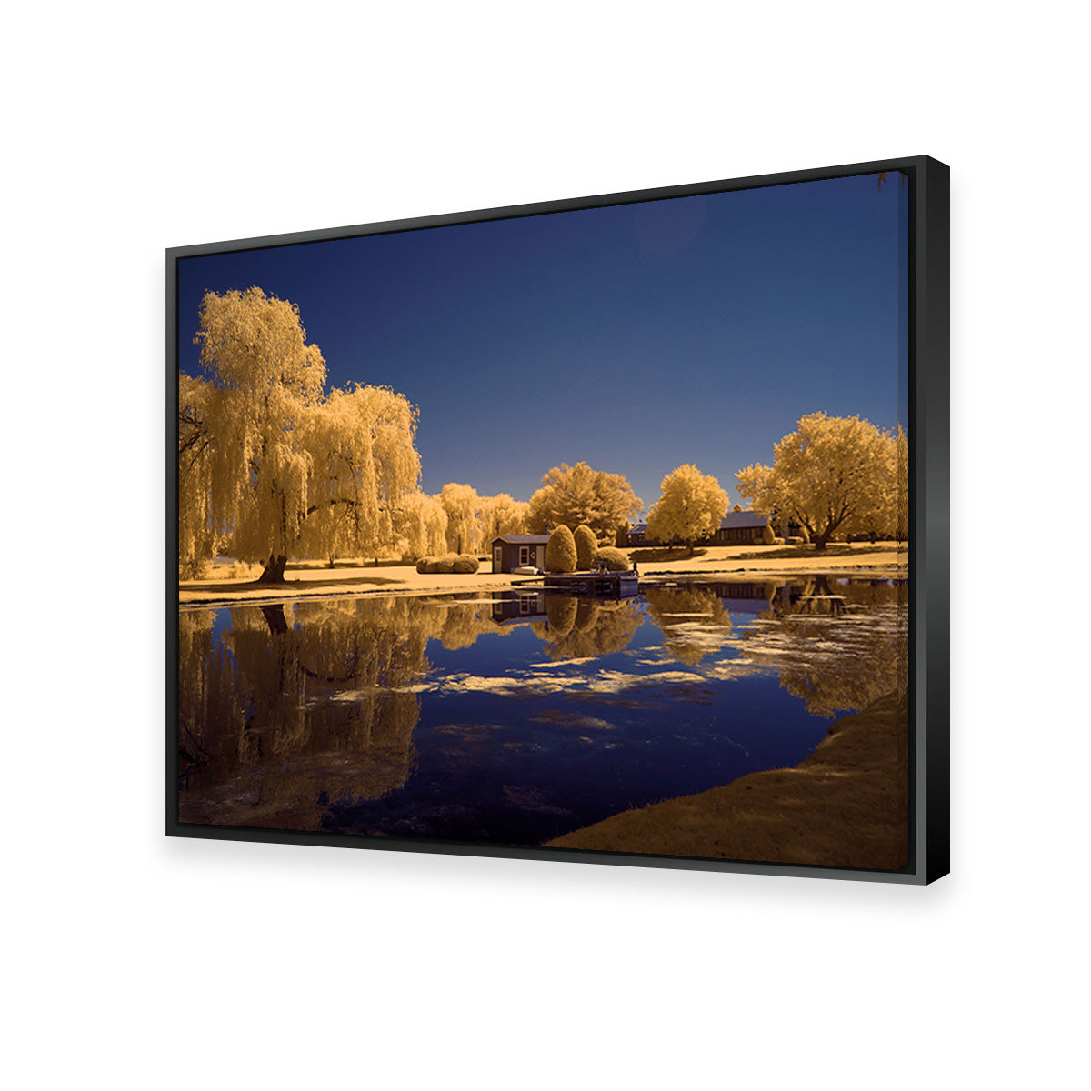 Lippold Park Wall Art