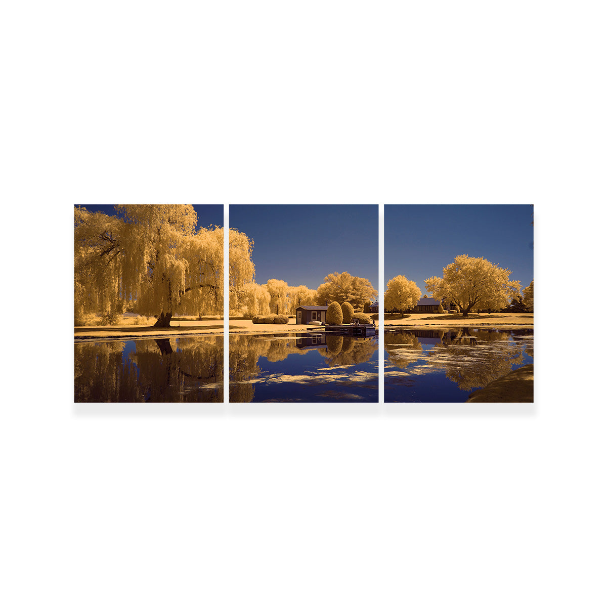 Lippold Park Wall Art